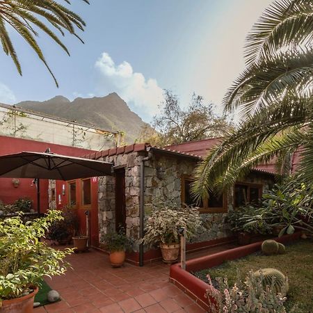 Papaya Cottage Punta Del Hidalgo Extérieur photo