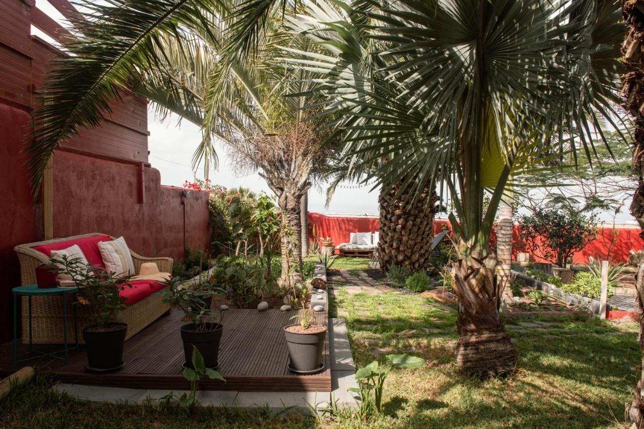 Papaya Cottage Punta Del Hidalgo Extérieur photo