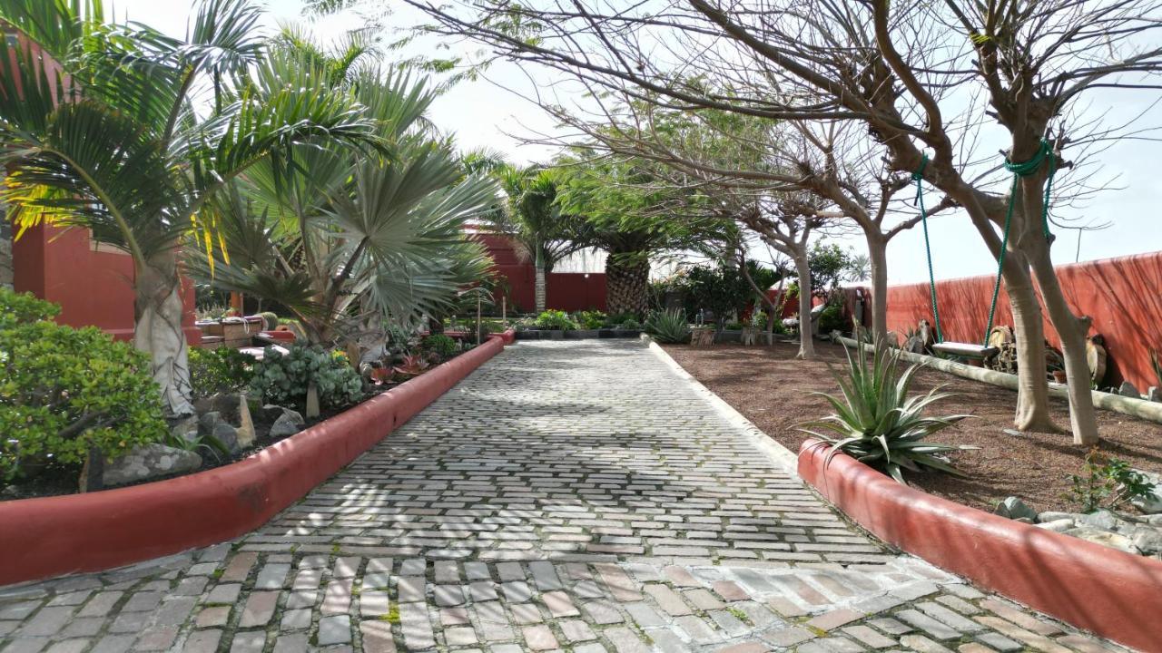 Papaya Cottage Punta Del Hidalgo Extérieur photo